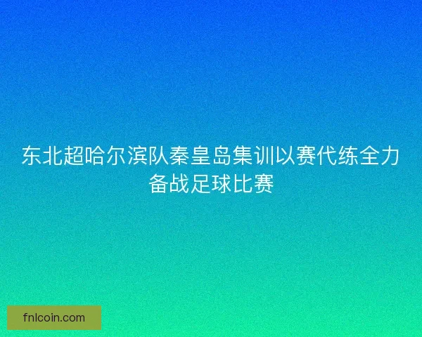 东北超哈尔滨队秦皇岛集训以赛代练全力备战足球比赛 东北超哈尔滨队秦皇岛集训以赛代练全力备战足球比赛